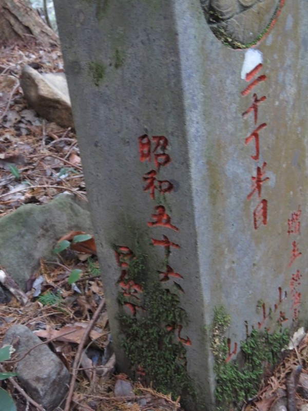 十国峠（日金山）