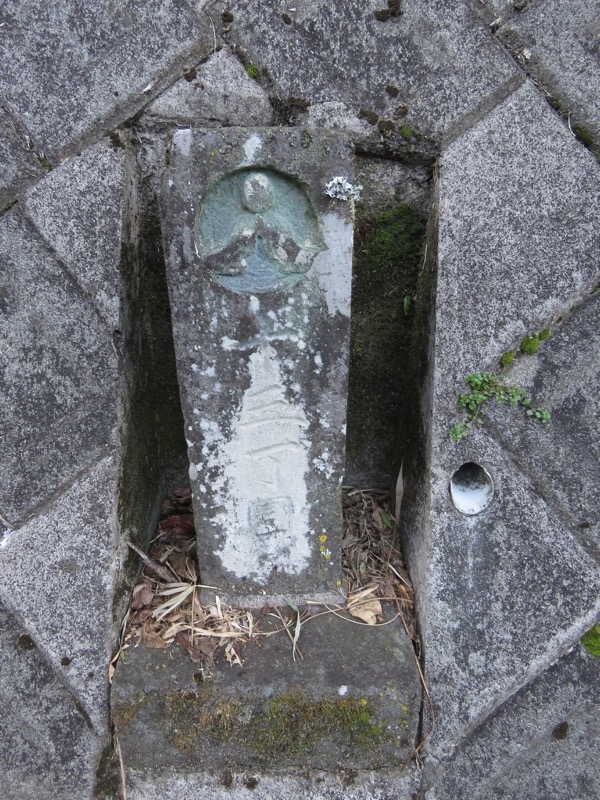 十国峠（日金山）