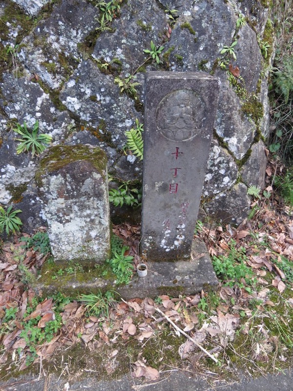 十国峠（日金山）
