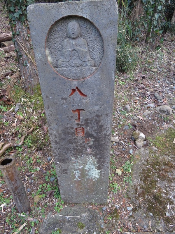 十国峠（日金山）