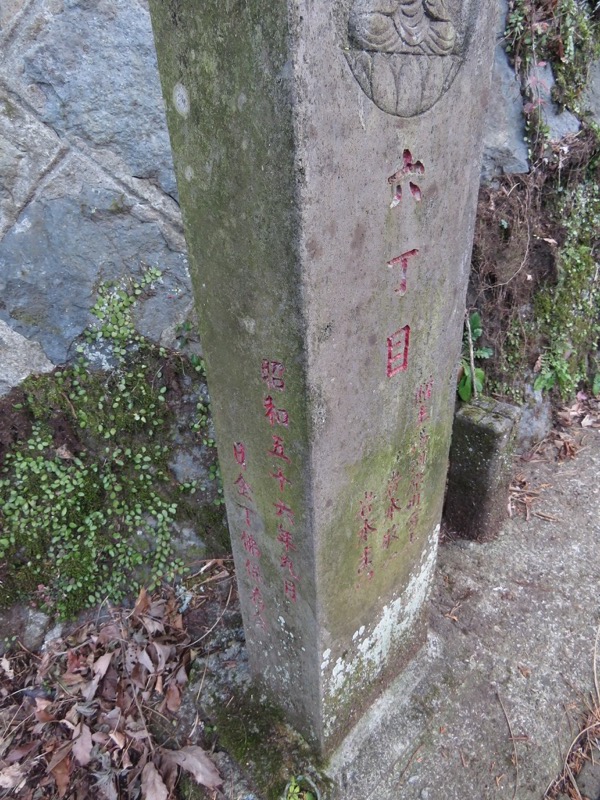 十国峠（日金山）