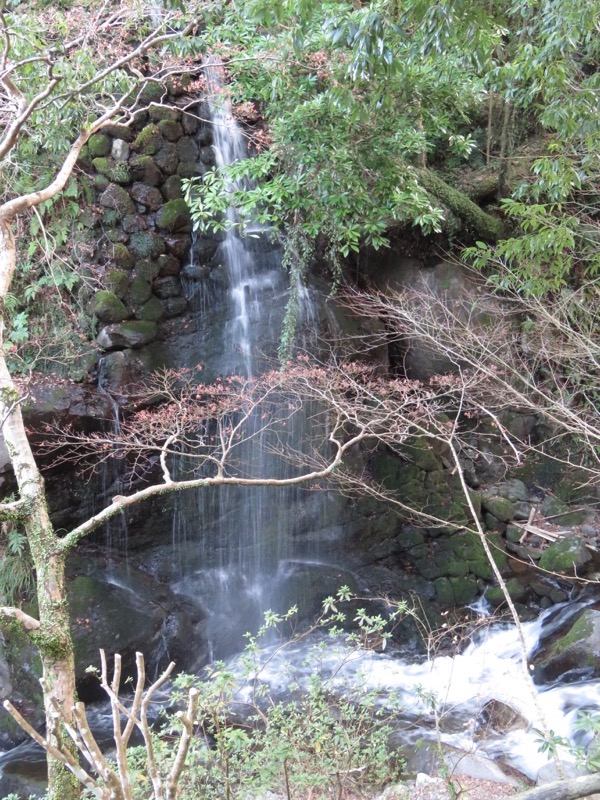 十国峠（日金山）