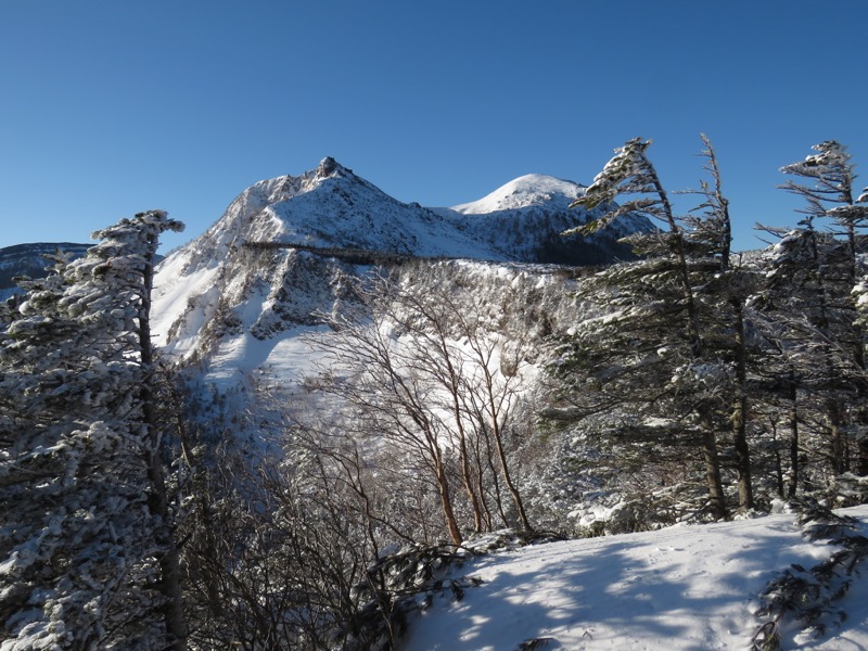 北八ヶ岳