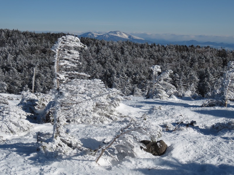 北八ヶ岳