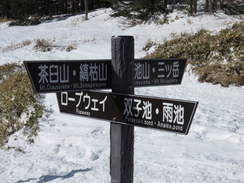 北八ヶ岳