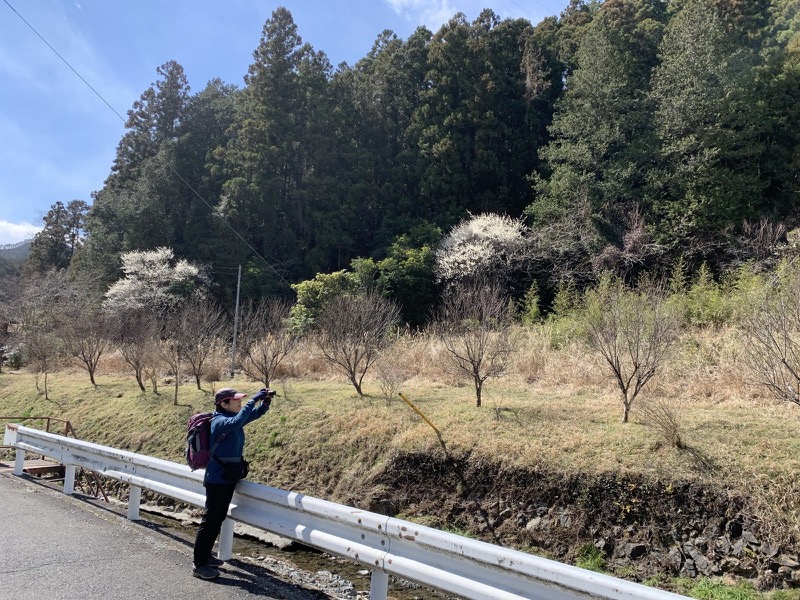 越生梅林＆顔振峠