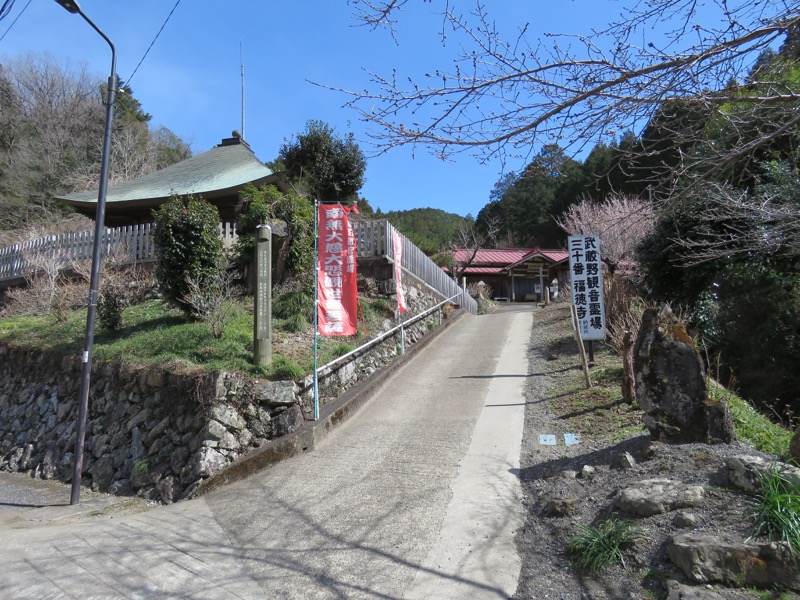 越生梅林＆顔振峠