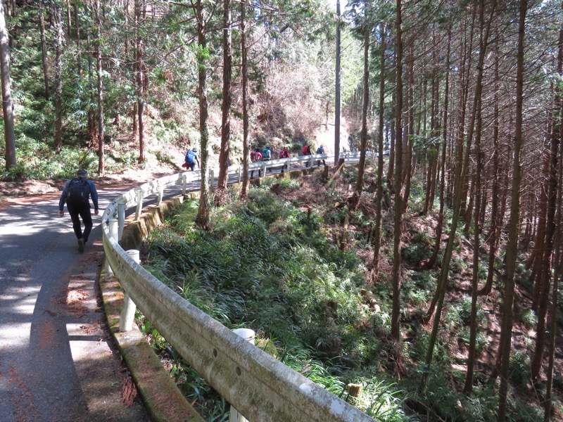 越生梅林＆顔振峠