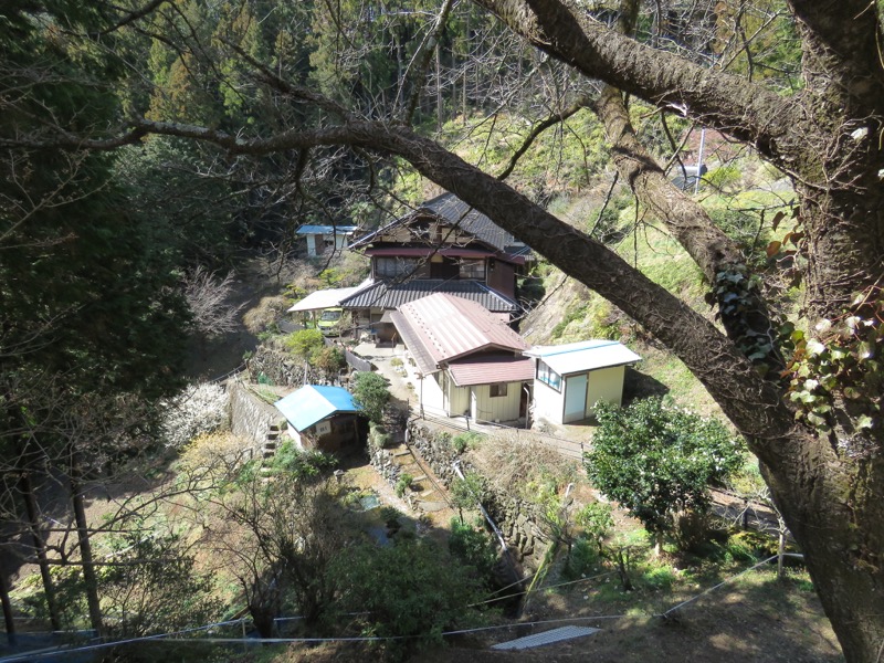 越生梅林＆顔振峠