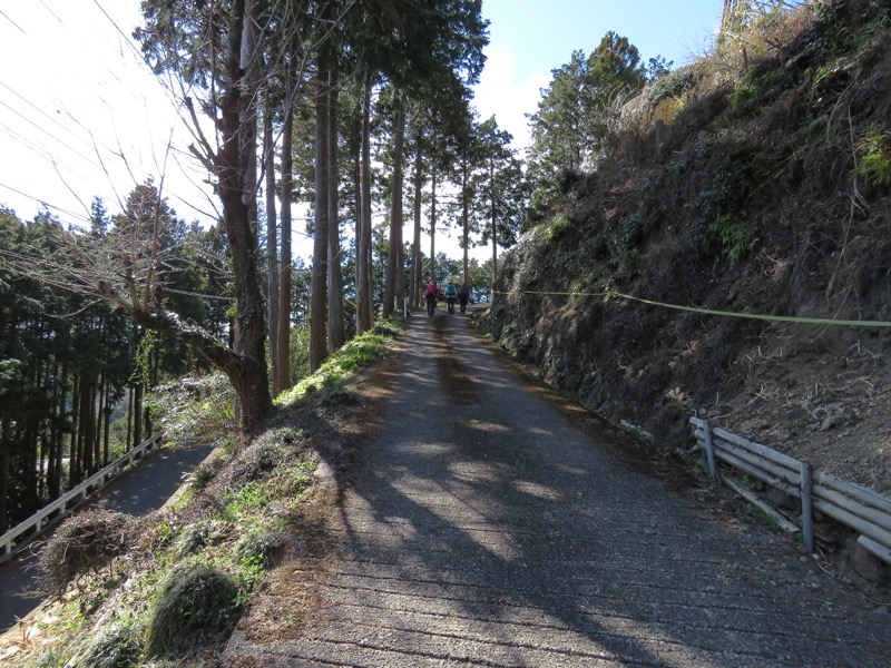 越生梅林＆顔振峠