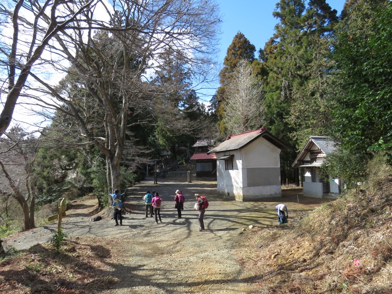 越生梅林＆顔振峠