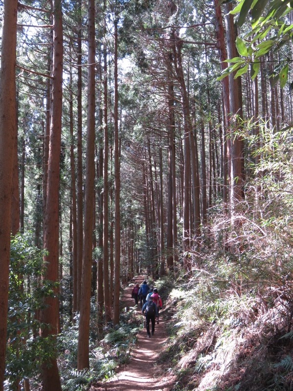 越生梅林＆顔振峠