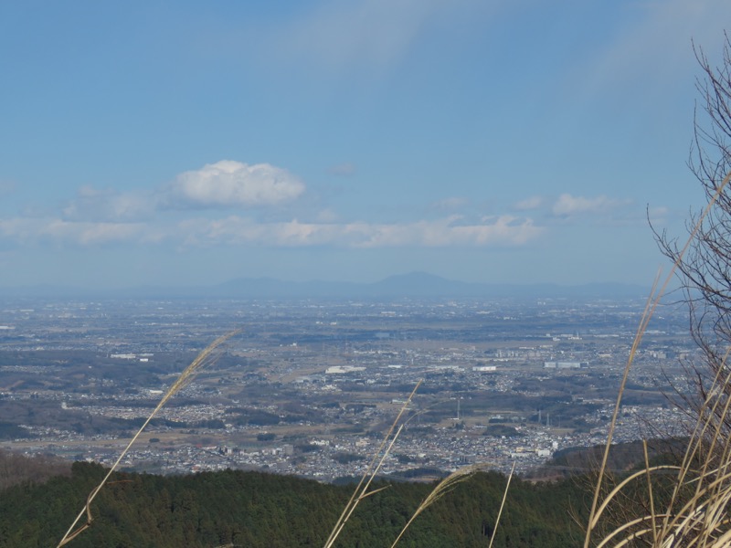 越生梅林＆顔振峠