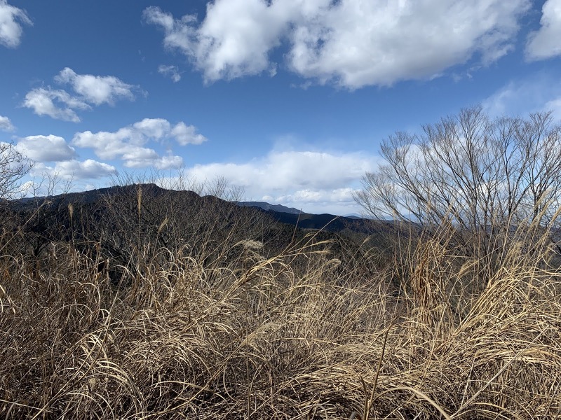 越生梅林＆顔振峠