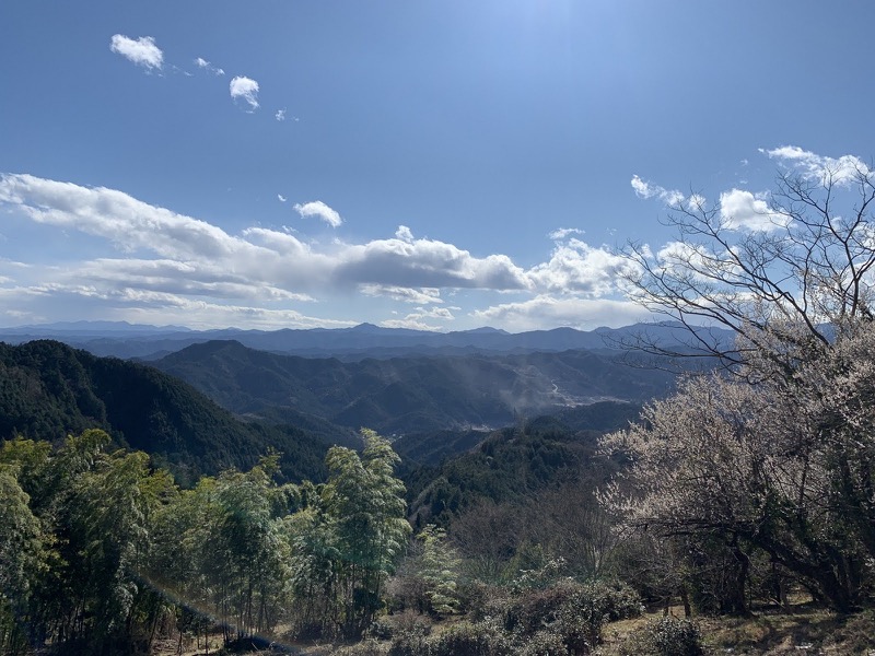 越生梅林＆顔振峠