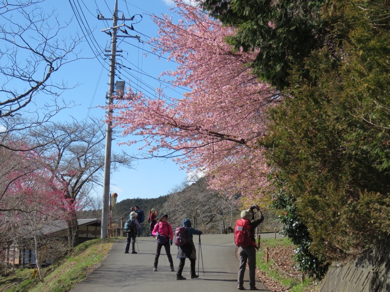 越生梅林＆顔振峠