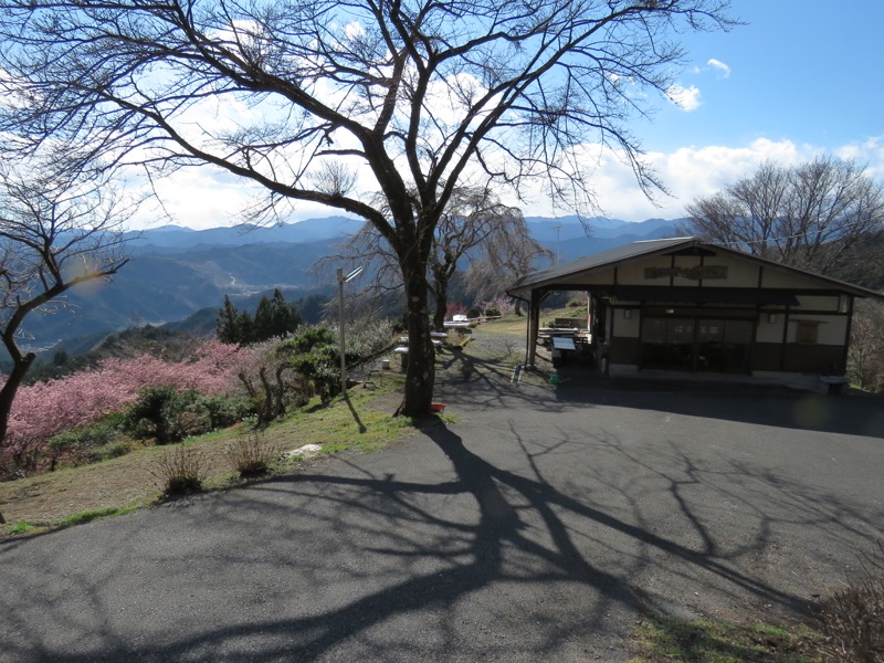 越生梅林＆顔振峠