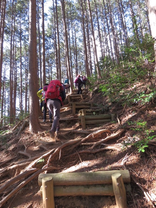 越生梅林＆顔振峠