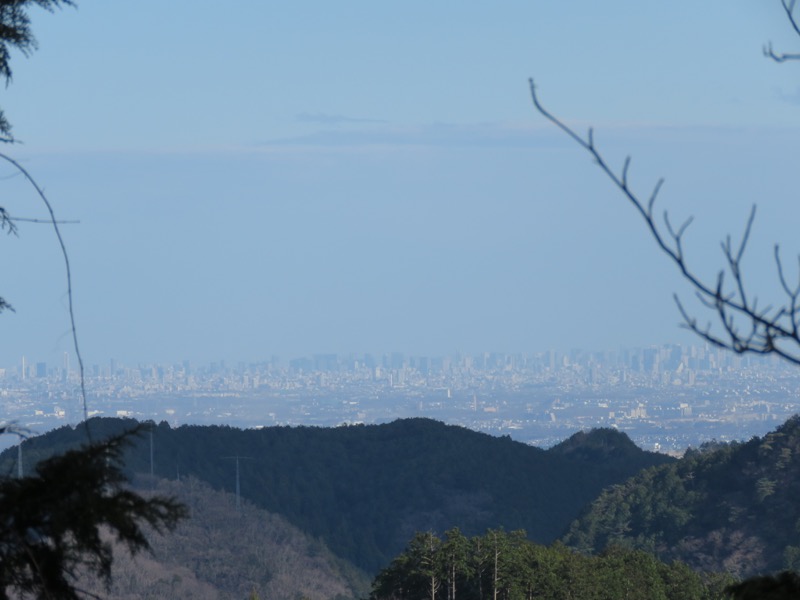 越生梅林＆顔振峠