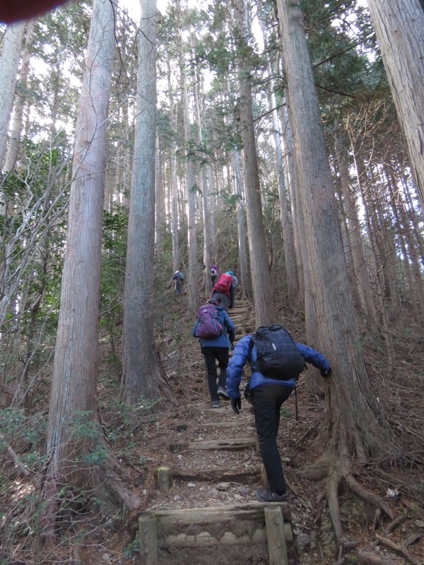 越生梅林＆顔振峠