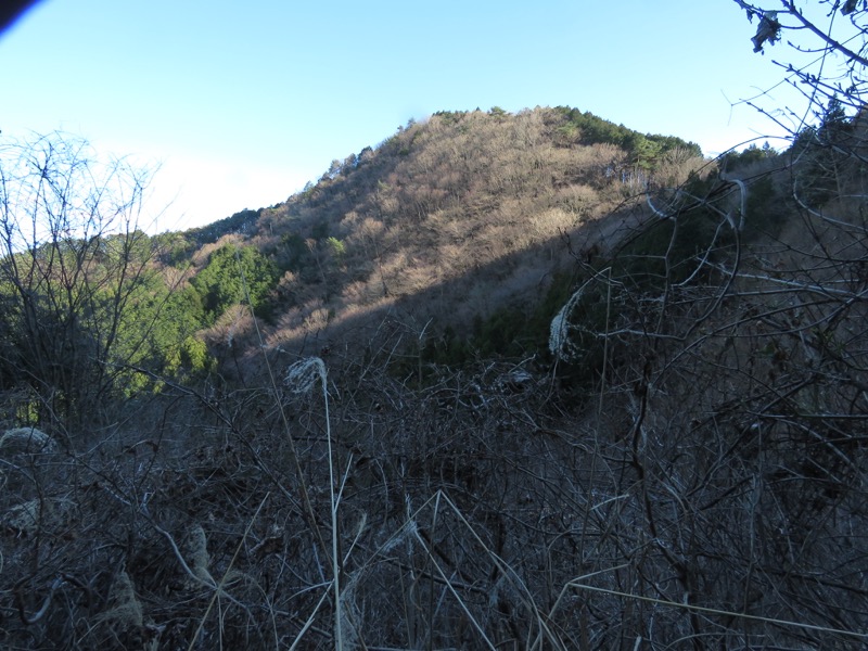 越生梅林＆顔振峠