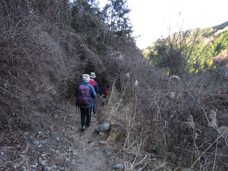 越生梅林＆顔振峠