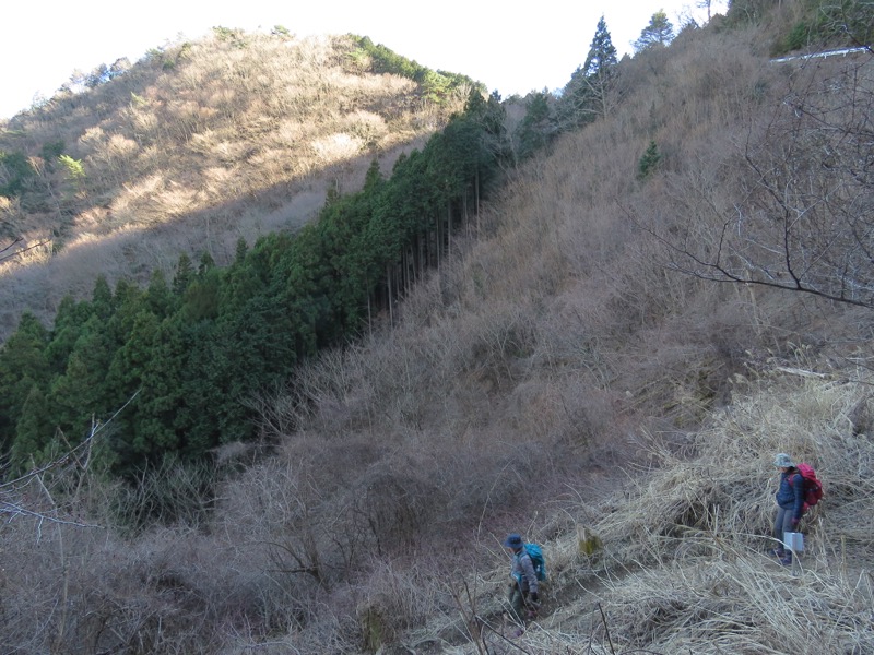 越生梅林＆顔振峠