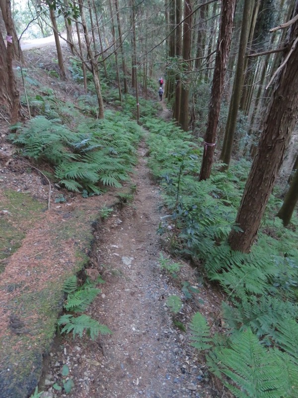 越生梅林＆顔振峠