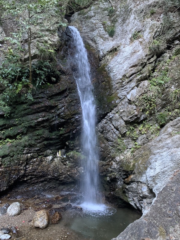 越生梅林＆顔振峠