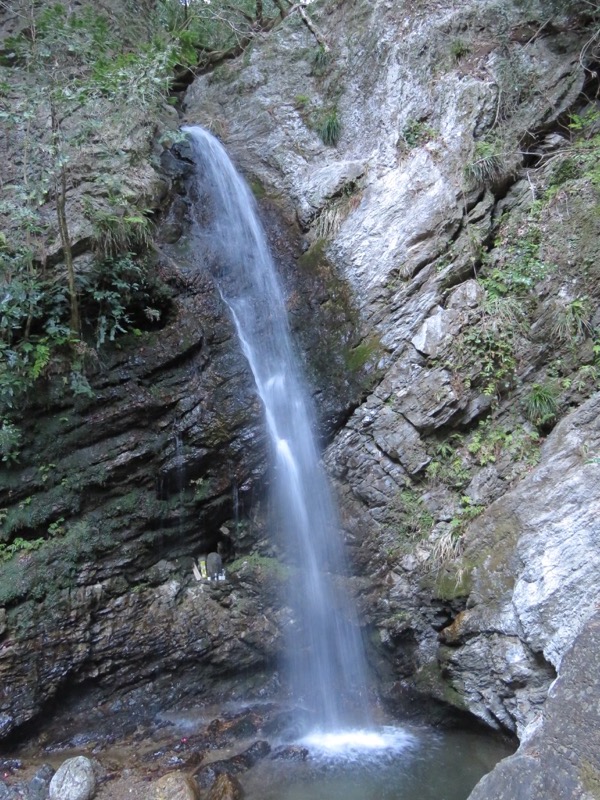 越生梅林＆顔振峠