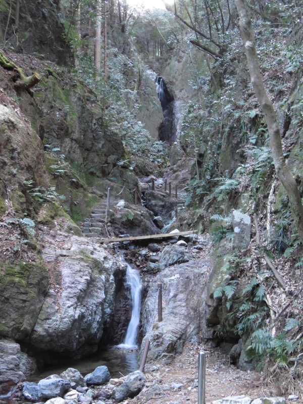 越生梅林＆顔振峠