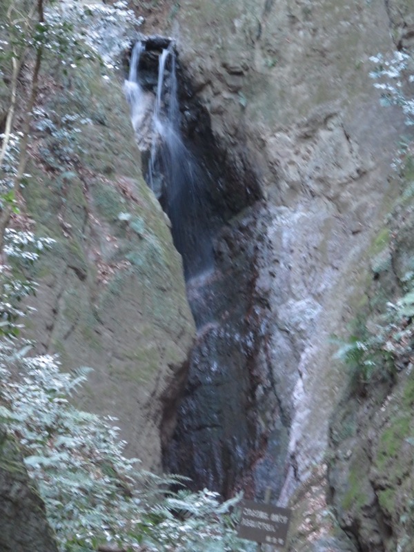 越生梅林＆顔振峠