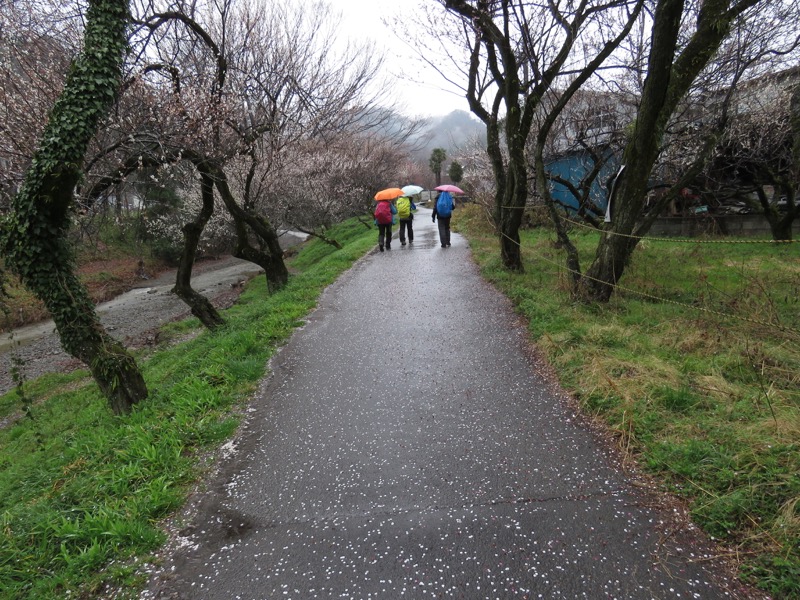 高尾梅郷＆高尾山