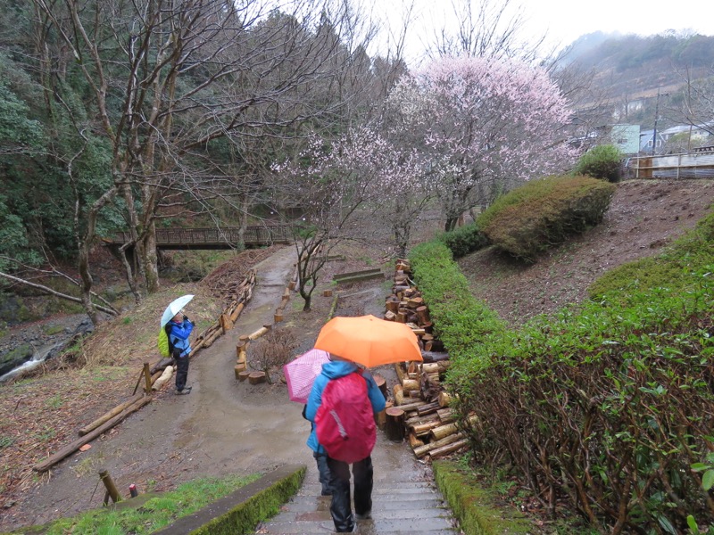 高尾梅郷＆高尾山