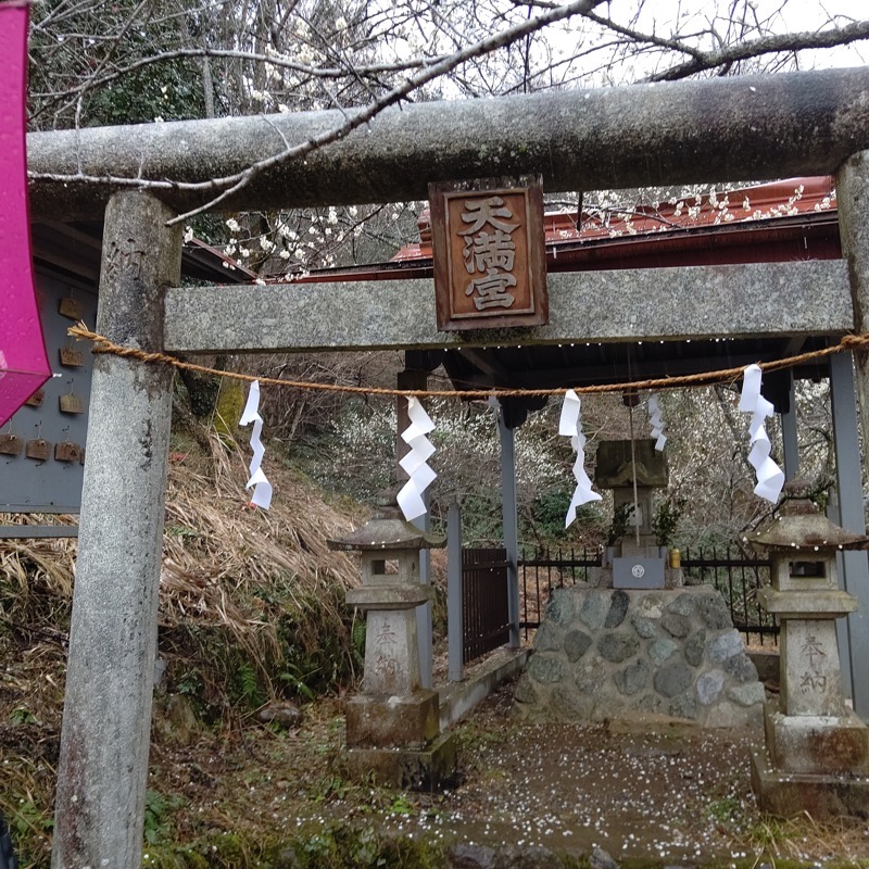 高尾梅郷＆高尾山