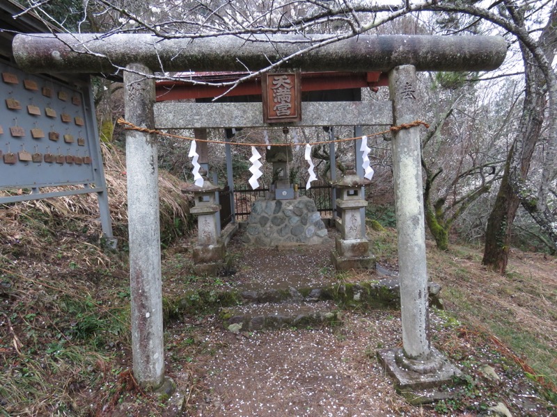 高尾梅郷＆高尾山