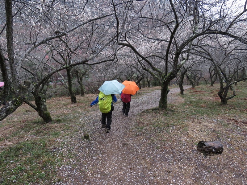 高尾梅郷＆高尾山