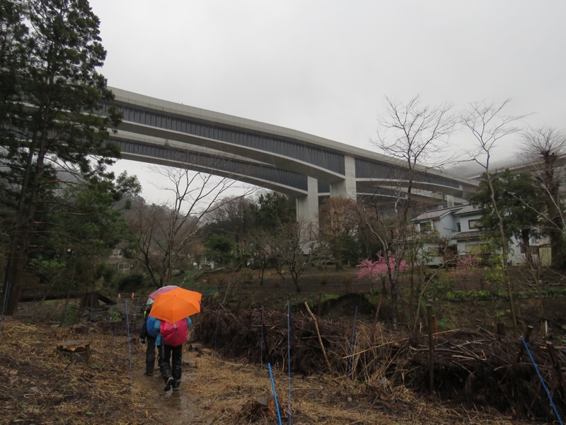 高尾梅郷＆高尾山