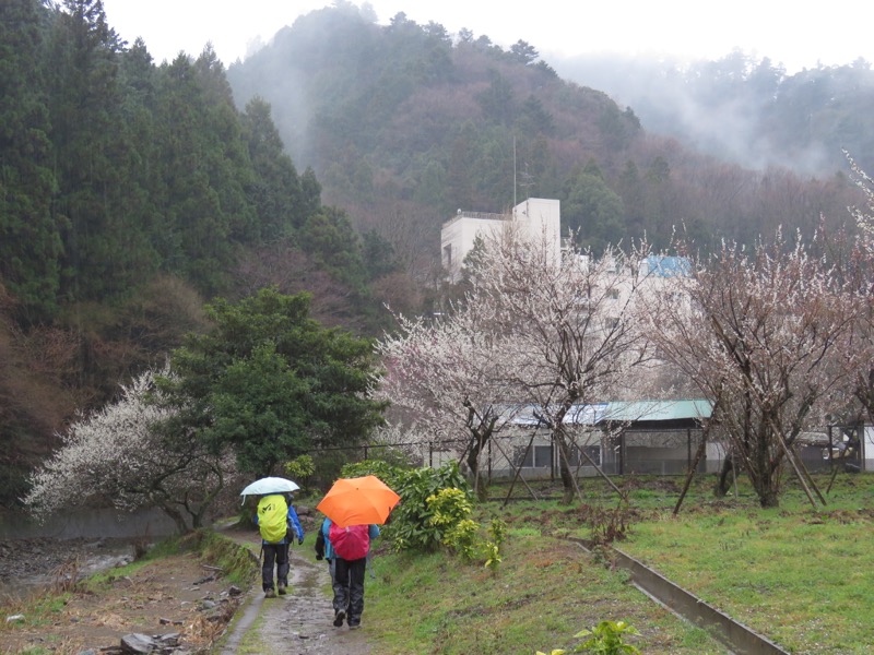 高尾梅郷＆高尾山