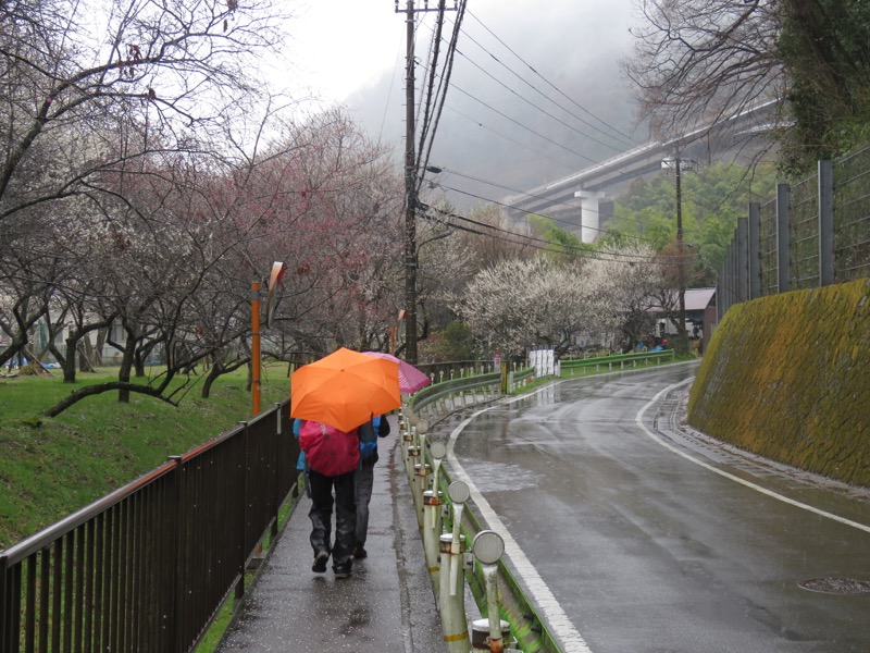 高尾梅郷＆高尾山