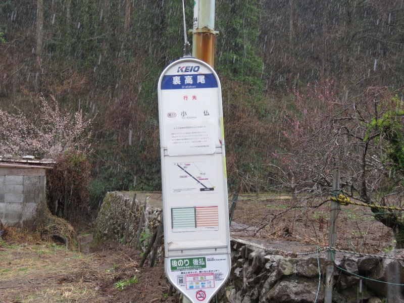 高尾梅郷＆高尾山