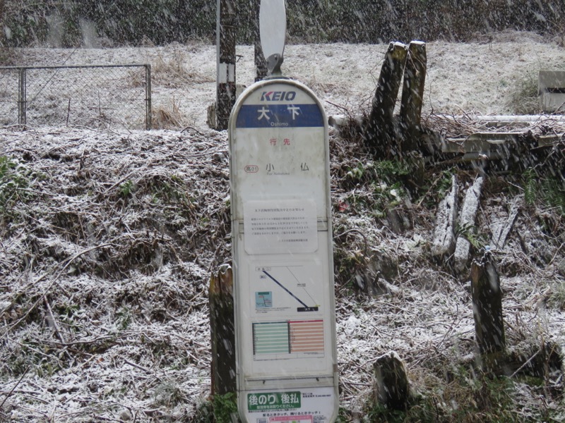 高尾梅郷＆高尾山