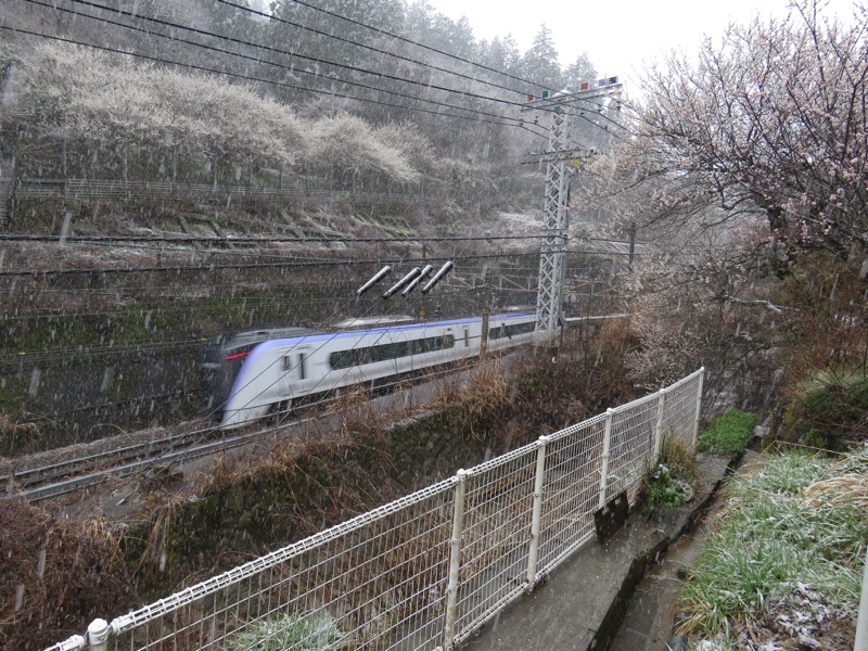 高尾梅郷＆高尾山