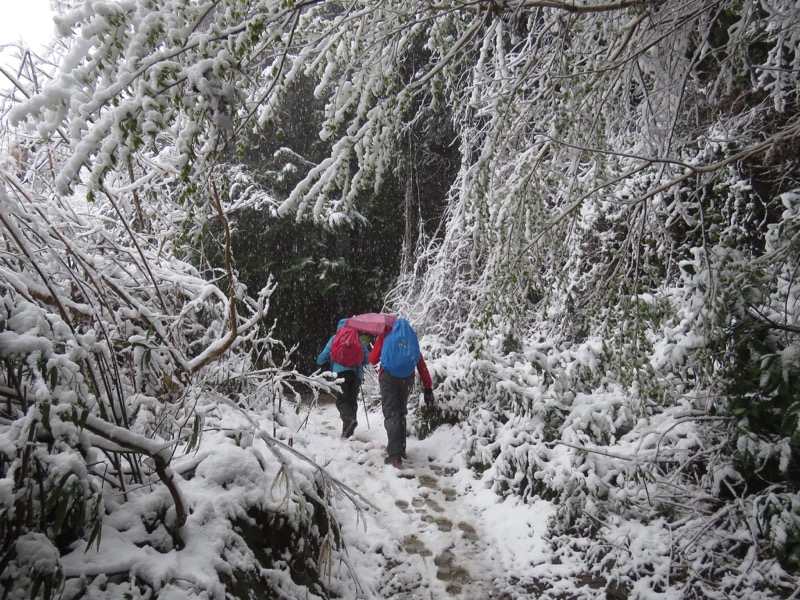 高尾梅郷＆高尾山