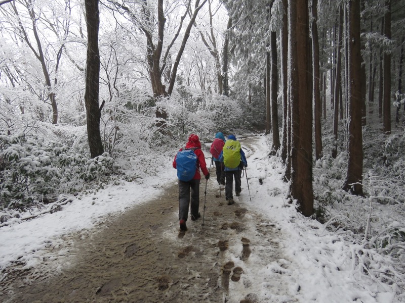 高尾梅郷＆高尾山