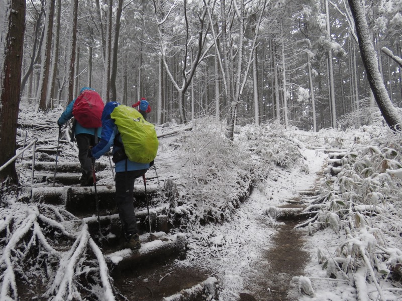 高尾梅郷＆高尾山