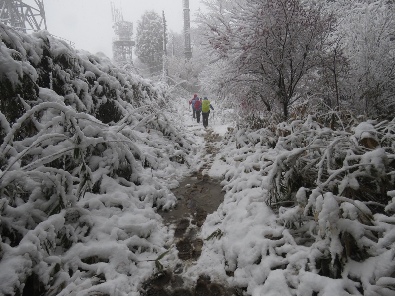 高尾梅郷＆高尾山