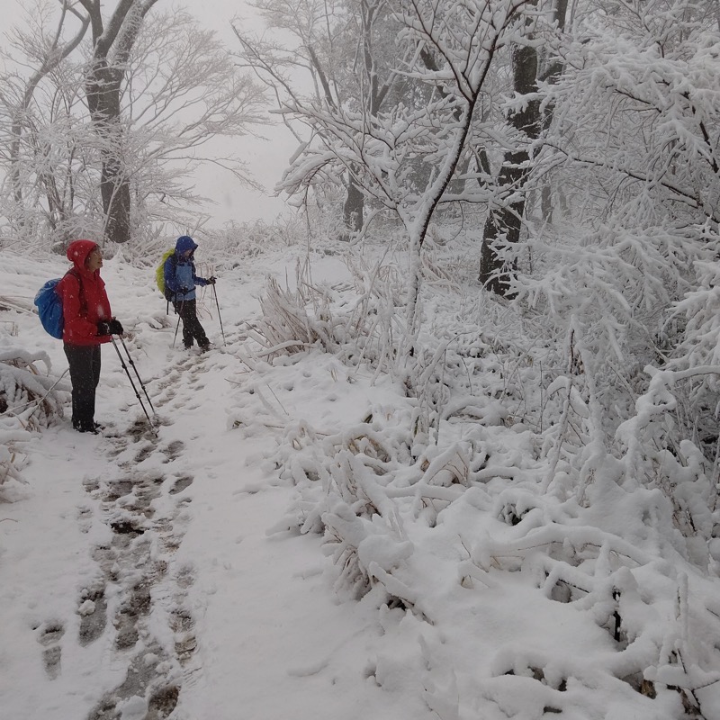 高尾梅郷＆高尾山