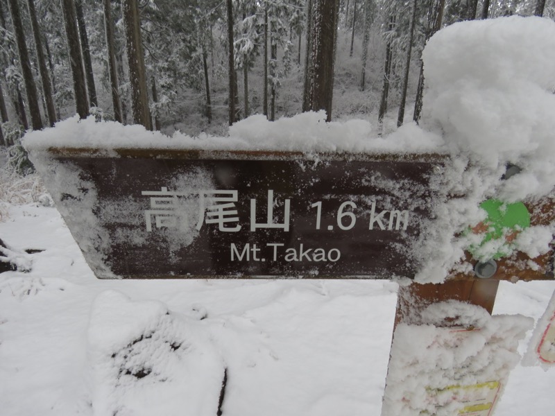 高尾梅郷＆高尾山