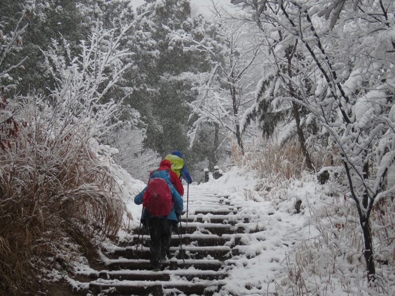 高尾梅郷＆高尾山